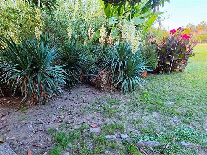 Appartamento con 5 locali in affitto in Olmo Santa Caterina Falcinello, Sarzana