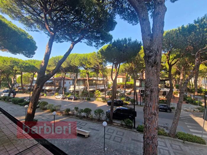 Appartamento trilocale in affitto in Via Filzi, Cervia