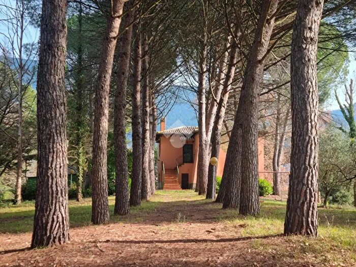 Casa quadrilocale in vendita in Frazione Colpetrazzo, Massa Martana