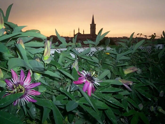 Appartamento con 5 locali in vendita in Via Oberda, Castel San Giovanni