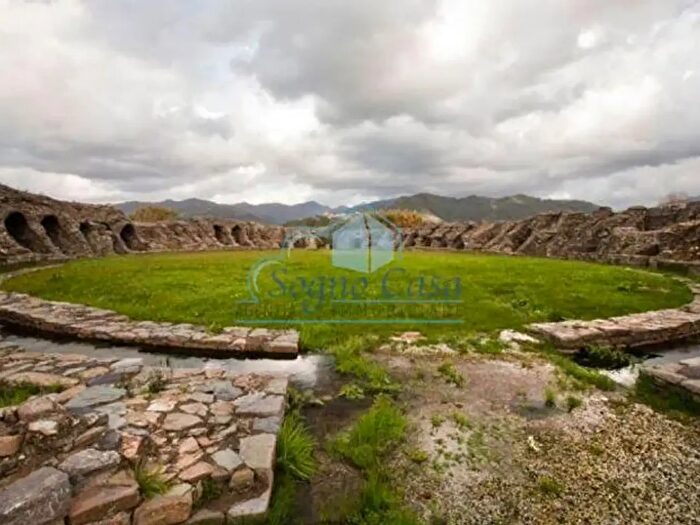 Appartamento con 5 locali in affitto in Luni