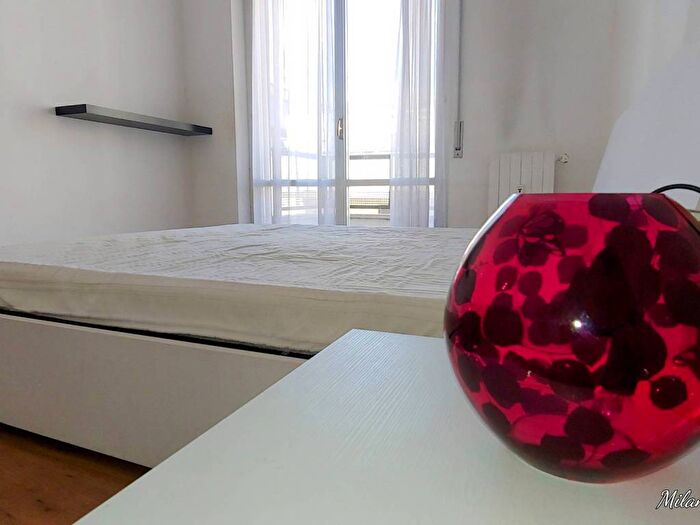 Appartamento trilocale in affitto in Via Andrea Maffei, Montenero, Milano