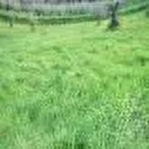 Casa in vendita in Via Fontemura Frasso Sabino Ri Italia, Frasso Sabino