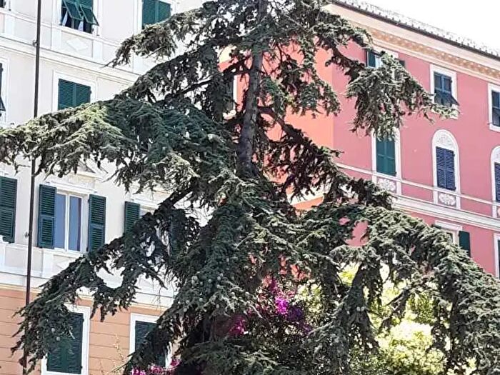 Appartamento con 7 locali in affitto in Via delle Cappuccine, Genova