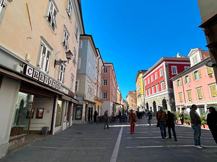 Appartamento quadrilocale in affitto in Piazza di Cavana, Città Vecchia, Trieste