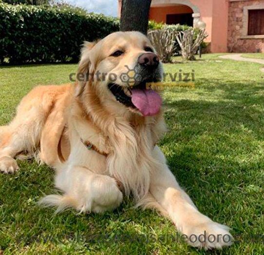 Casa con 6 locali in affitto in Via Stintino, Centro, San Teodoro