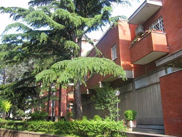 Appartamento bilocale in affitto in Via Manlio di Veroli, Nuovo Salario, Roma