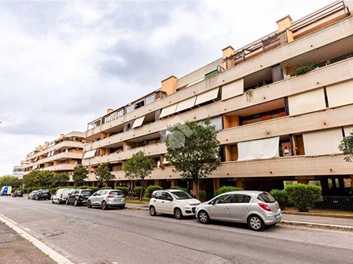 Appartamento bilocale in affitto in Via Erminio Macario, Malafede, Roma