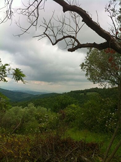 Casa con 10 locali in vendita in Via Collemancio, Cannara