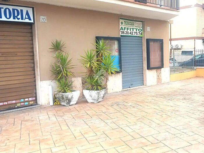 Appartamento monolocale in affitto in Via Tor Vergata, Roma