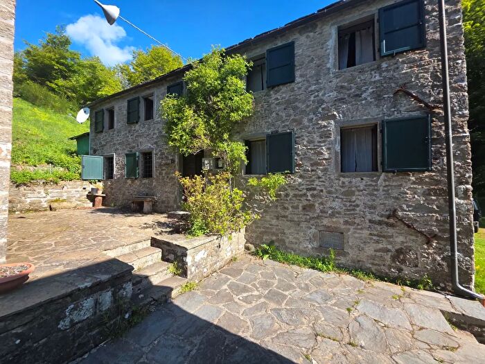 Casa con 7 locali in vendita in Colmaschio, Castiglione Di Garfagnana