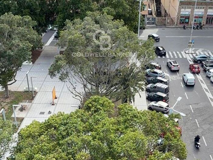 Appartamento quadrilocale in affitto in Piazza Michelangelo Buonarroti, Vulcania Sanzio, Catania