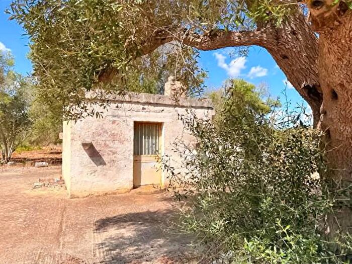 Casa bilocale in vendita in San Vito Dei Normanni