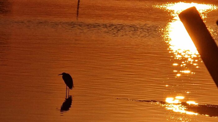 Appartamento trilocale in vendita in Jesolo Via Aquileia, Jesolo