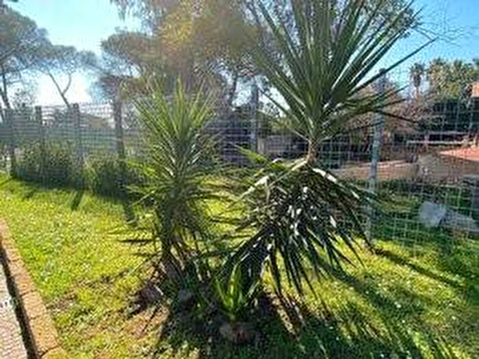 Casa bilocale in affitto in Via del Colle della Mentuccia, Tor Sapienza La Rustica, Roma