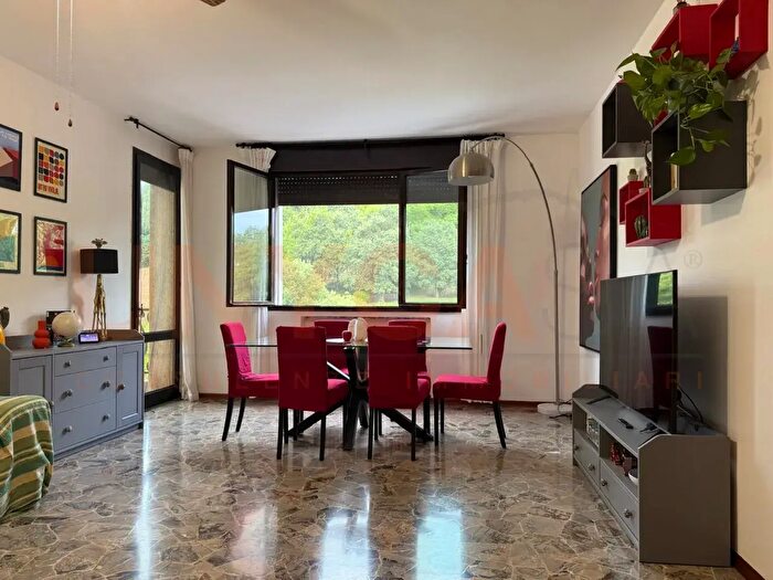 Appartamento quadrilocale in affitto in Montegalda