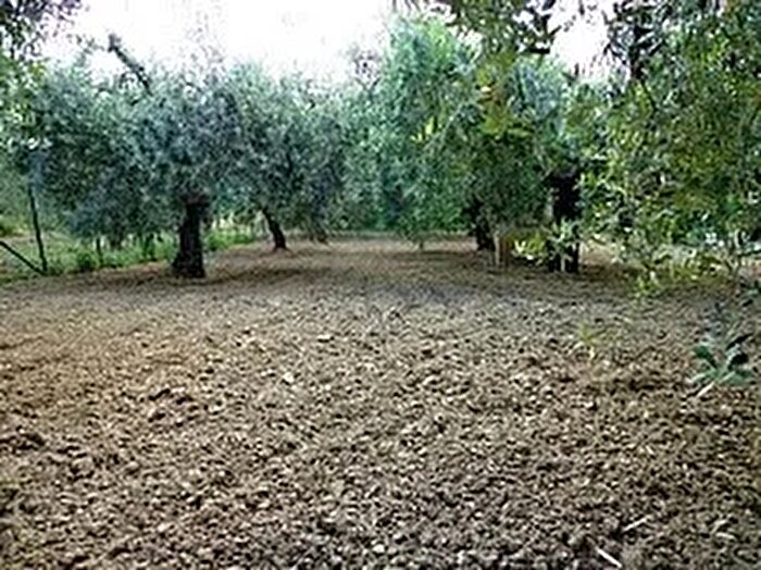 Casa trilocale in vendita in Via Colle Casale Casalincontrada Ch, Roccamontepiano