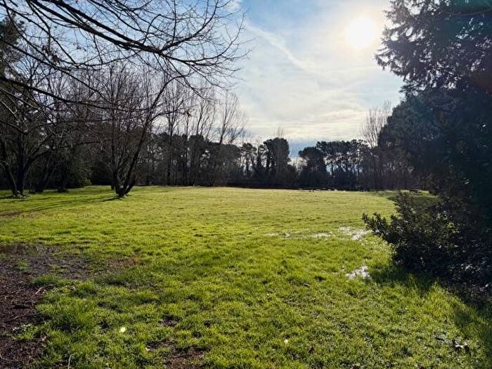 Appartamento con 6 locali in affitto in Via del Mare, Vecchiano