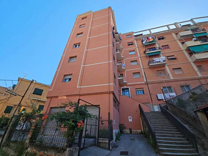 Appartamento trilocale in affitto in Piazza Ospedale Pastorino, Bolzaneto, Genova