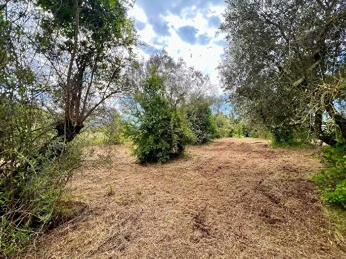 Casa monolocale in vendita in Via Ficozzivoli, Poli