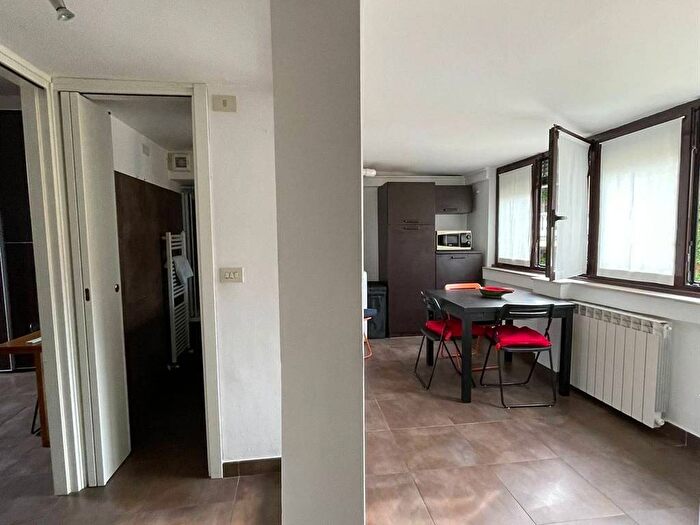 Appartamento bilocale in affitto in Via T Taramelli, Zara, Milano