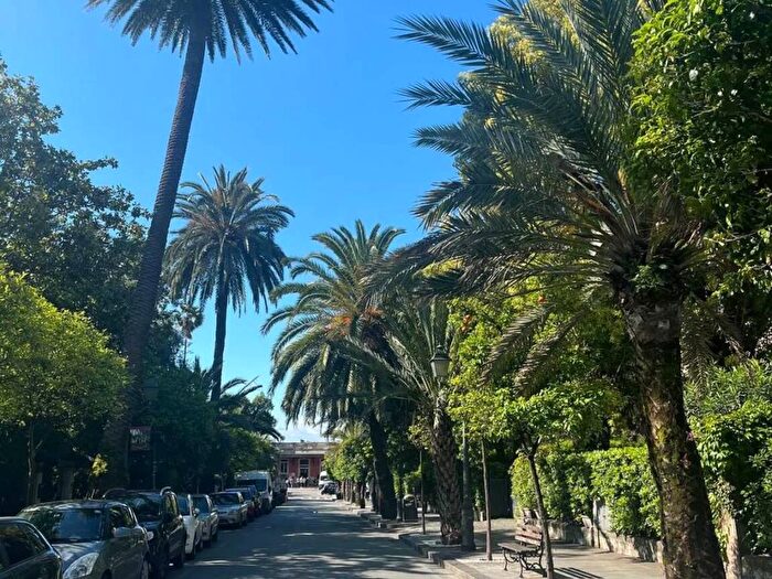 Appartamento con 5 locali in affitto in Viale Delle Palme, Genova