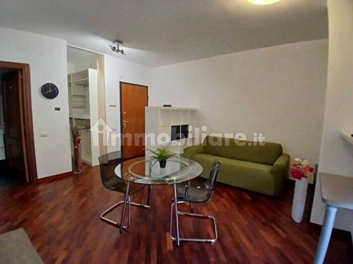 Appartamento monolocale in affitto in Via Giorgio Iannicelli, La Giustiniana, Roma