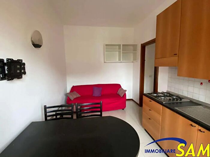 Appartamento bilocale in affitto in Via Mezzofanti, Milano