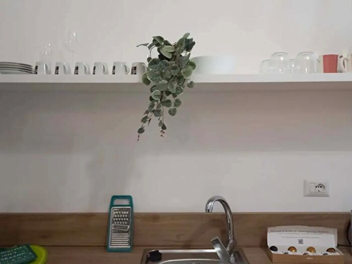 Appartamento monolocale in affitto in Via Gressoney, Milano