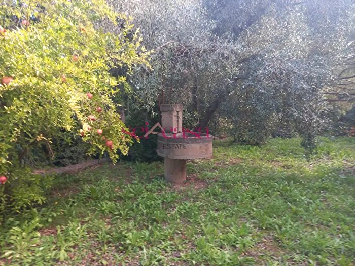 Casa con 5 locali in vendita in Cupi, Magliano In Toscana