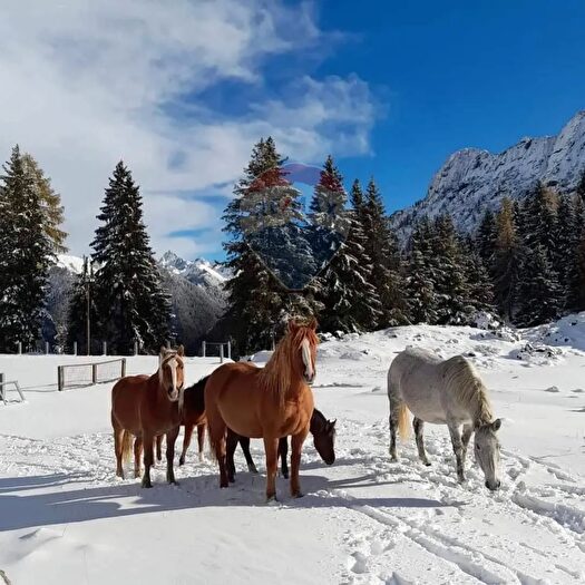 Appartamento trilocale in vendita in Localita Arale, Valleve