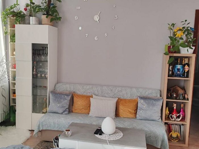 Appartamento bilocale in affitto in Quartirolo Meloni, Carpi