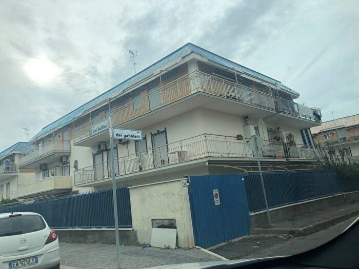 Appartamento bilocale in affitto in Via dei Gabbiani, Marina di Palo, Ladispoli