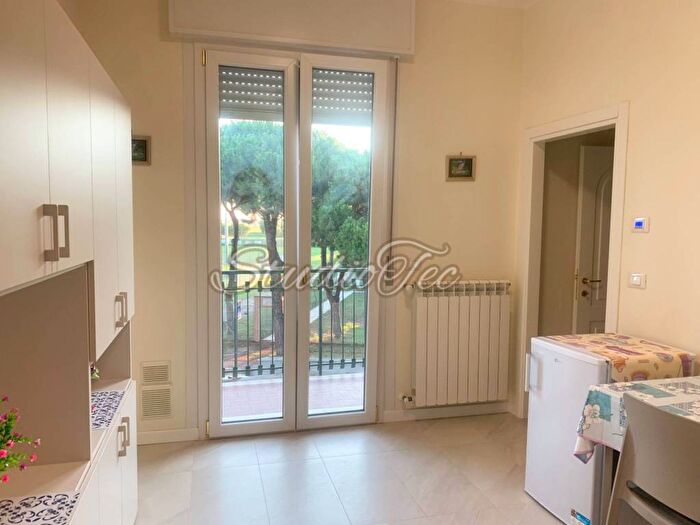 Appartamento bilocale in affitto in Piazza San Massimiano, Punta Marina, Ravenna