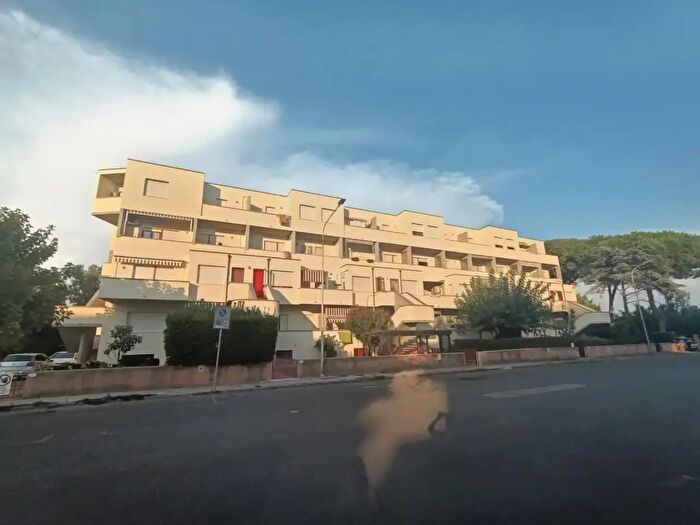 Appartamento monolocale in affitto in Rosignano Marittimo