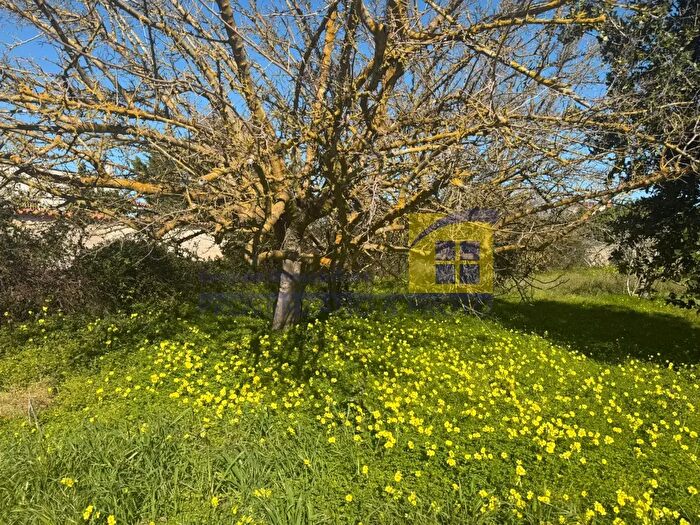 Casa con 5 locali in vendita in Contrada Panza, Cisternino