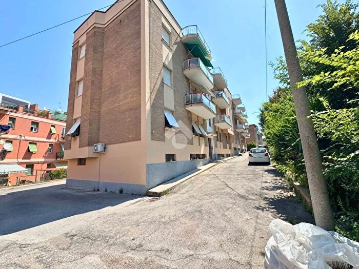 Appartamento quadrilocale in vendita in Via Cingoli, Ancona