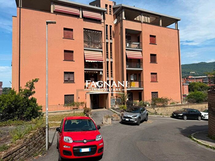 Appartamento bilocale in affitto in Via Vittorio Marandola, Semicentro, Velletri