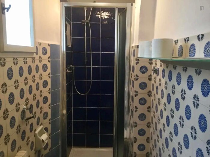Appartamento monolocale in affitto in Via dei Serragli, Firenze