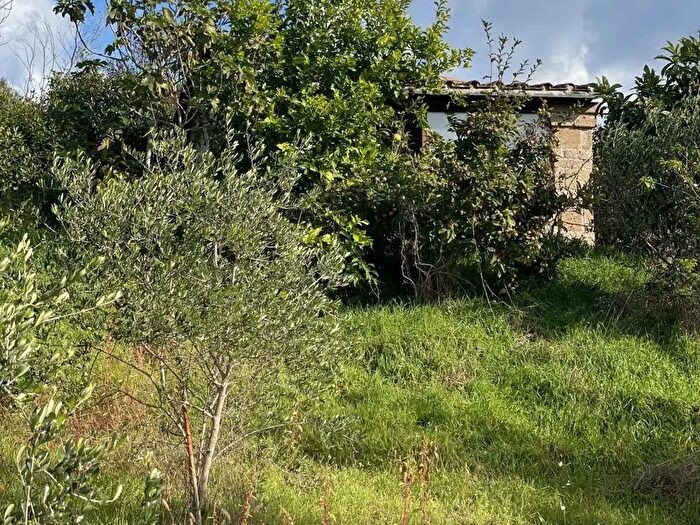 Casa bilocale in vendita in Tuscania