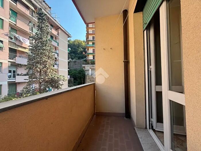 Appartamento quadrilocale in affitto in Via Ammarengo, Genova