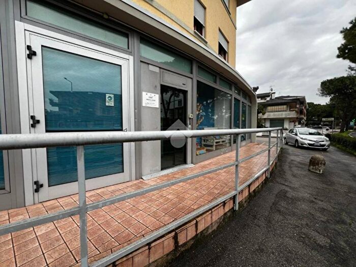 Appartamento con 6 locali in affitto in Via Scapacchiò, Selvazzano Centro, Selvazzano Dentro