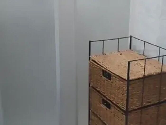 Appartamento bilocale in affitto in Viale Partigiani, Pavia