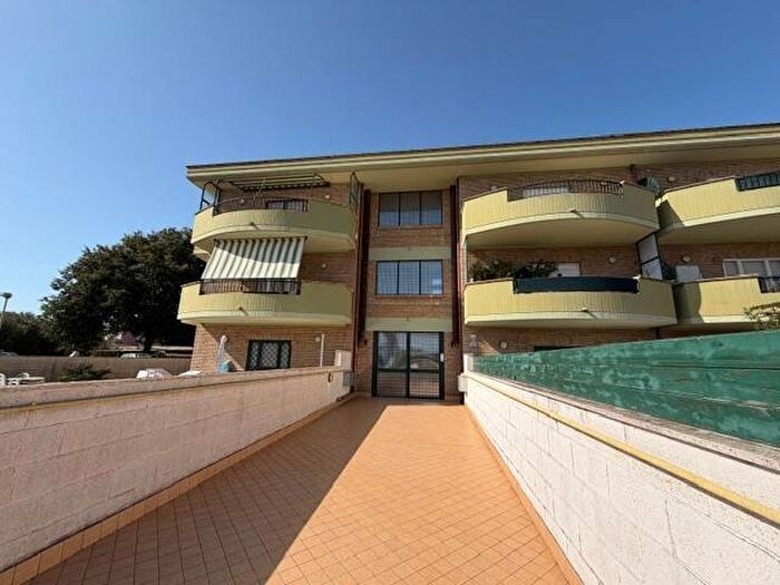 Appartamento trilocale in affitto in Cioccati Zucchetti, Nettuno