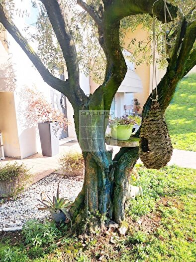 Casa quadrilocale in vendita in Via Boscalto Ovest, Loreggia