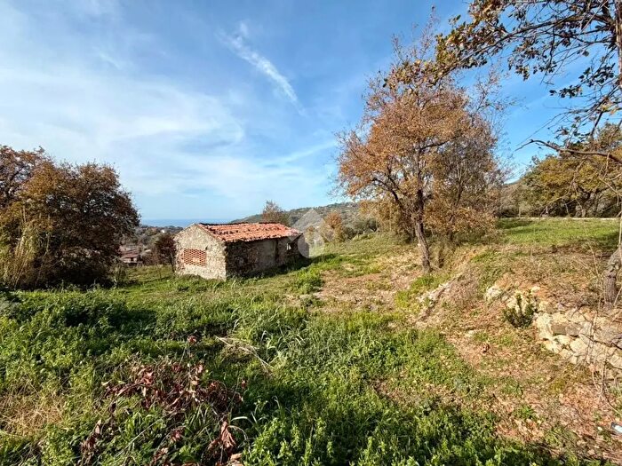 Casa monolocale in vendita in Contrada Celle, Buonvicino