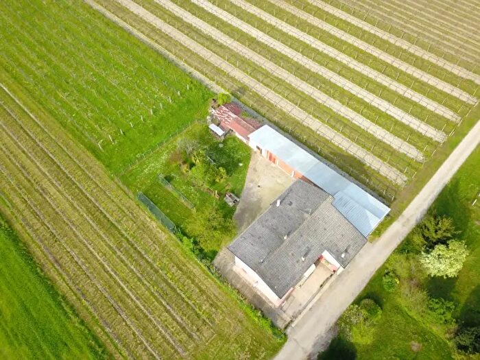 Casa con 8 locali in vendita in Via Comunali di Sopra, San Vito Al Tagliamento