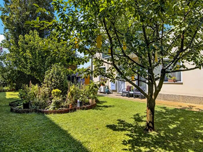 Appartamento trilocale in affitto in Vigonovo
