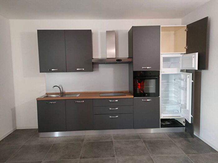 Appartamento trilocale in affitto in Centro, Boara Pisani