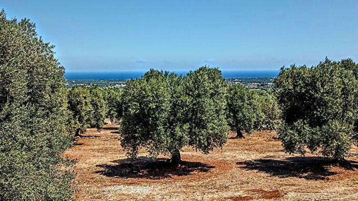 Casa con 17 locali in vendita in Ostuni
